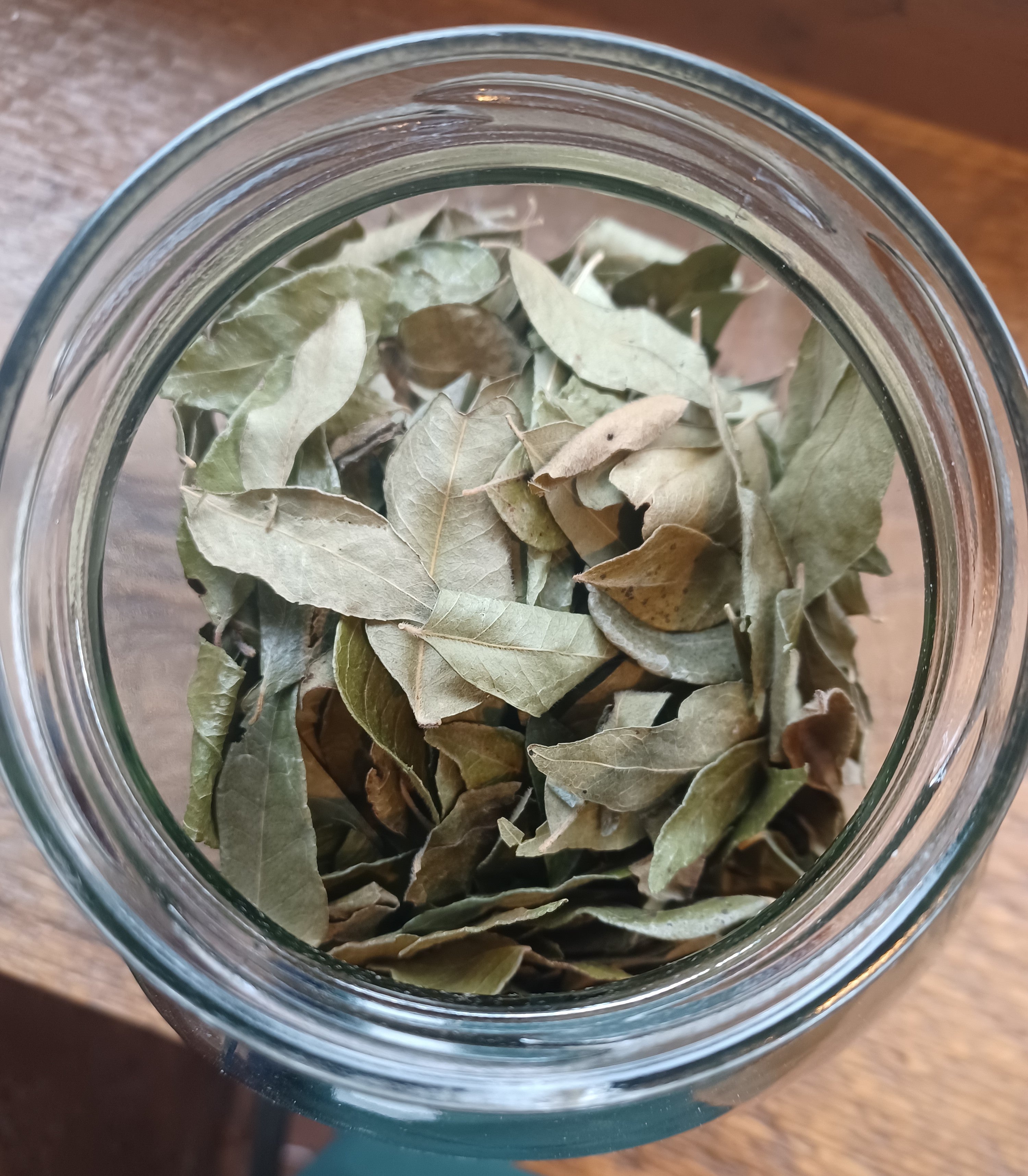 Curry leaves hot sale price